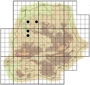 Cordia ovalis Waterberg distribution